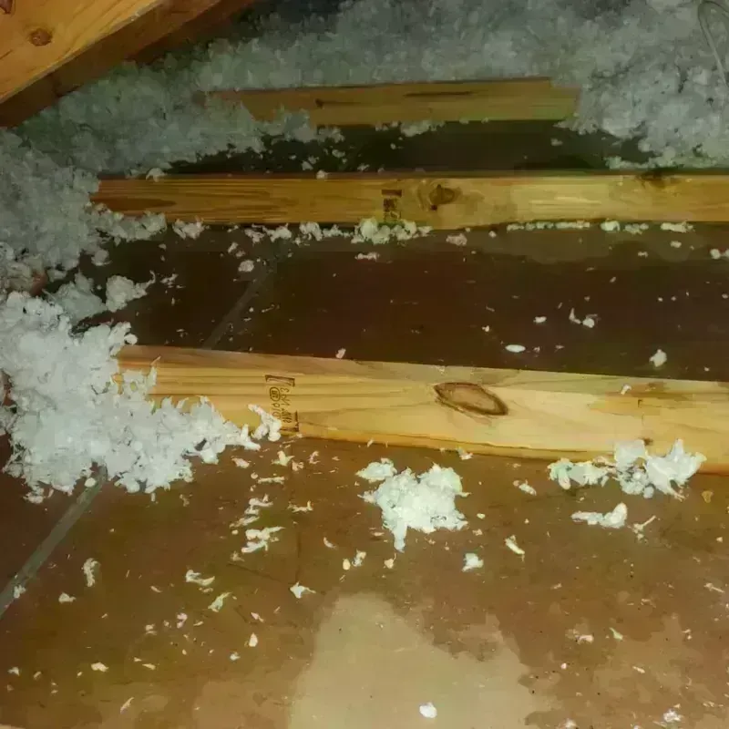 Attic Water Damage in Harris, MN