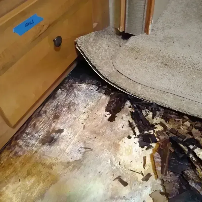 Wood Floor Water Damage in Harris, MN